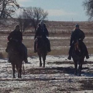 Meet your Posher, Robin paul